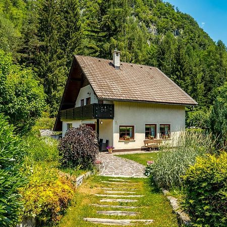 Hisa Nasproti Sonca Villa Kranjska Gora Exteriör bild